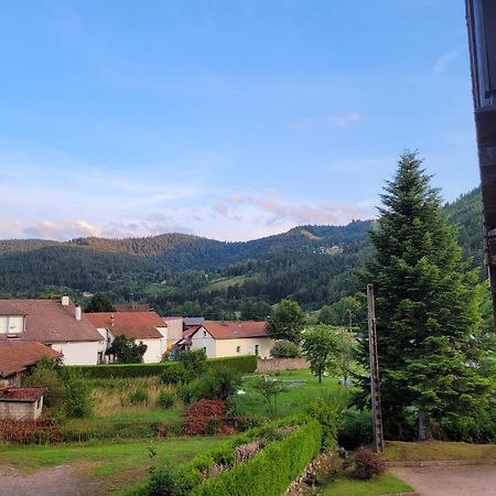 Appartement Chaleureux Au Coeur Des Hautes Vosges ว็องทรง ภายนอก รูปภาพ