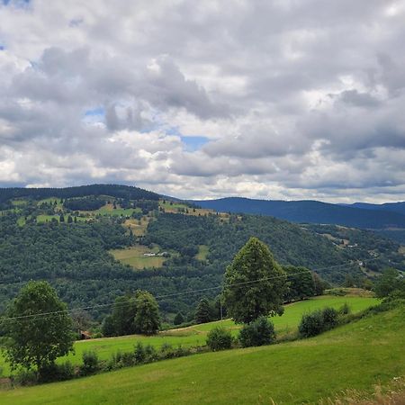 Appartement Chaleureux Au Coeur Des Hautes Vosges ว็องทรง ภายนอก รูปภาพ