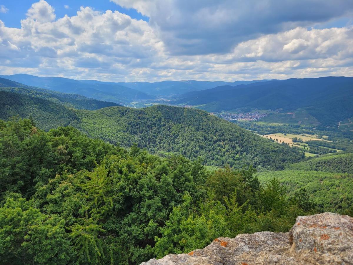 Appartement Chaleureux Au Coeur Des Hautes Vosges ว็องทรง ภายนอก รูปภาพ