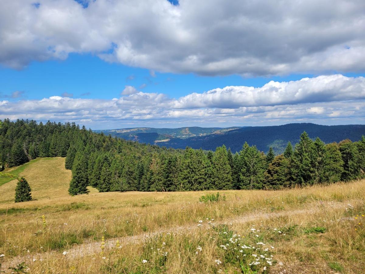 Appartement Chaleureux Au Coeur Des Hautes Vosges ว็องทรง ภายนอก รูปภาพ