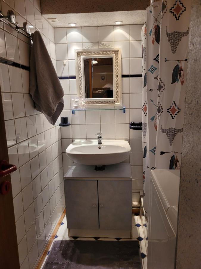 Appartement Chaleureux Au Coeur Des Hautes Vosges ว็องทรง ภายนอก รูปภาพ