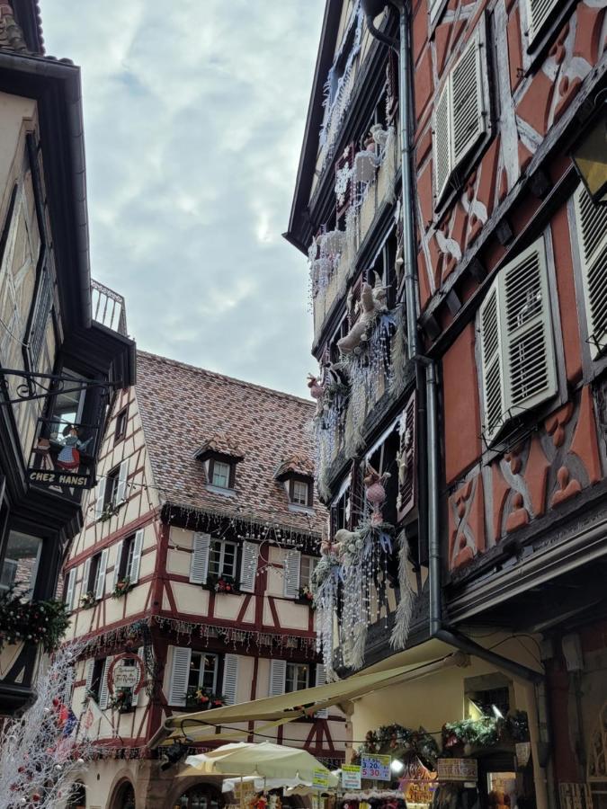 Appartement Chaleureux Au Coeur Des Hautes Vosges ว็องทรง ภายนอก รูปภาพ