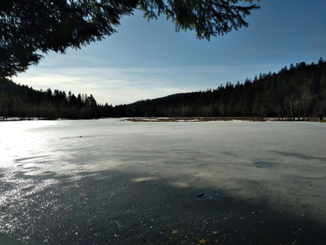 Appartement Chaleureux Au Coeur Des Hautes Vosges ว็องทรง ภายนอก รูปภาพ